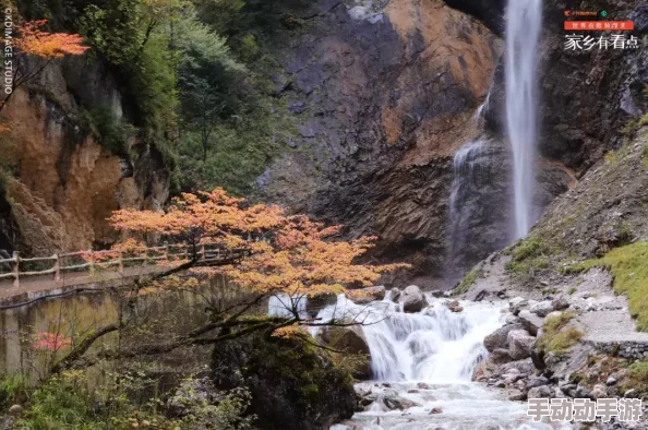 深入探索造物法则：阵营秘境系统独特玩法与策略指南全览