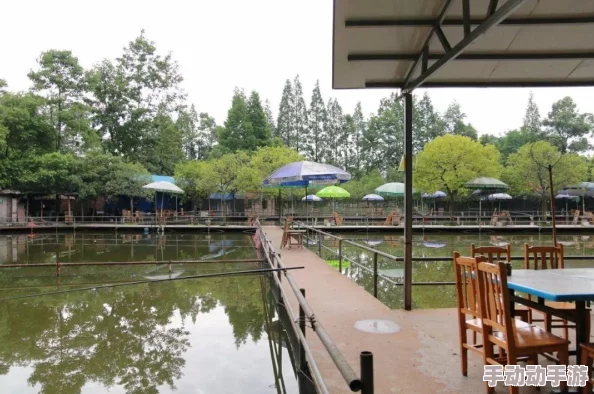 掌握创造与魔法世界中的垂钓艺术：高效钓鱼技巧全攻略，解锁水域奥秘