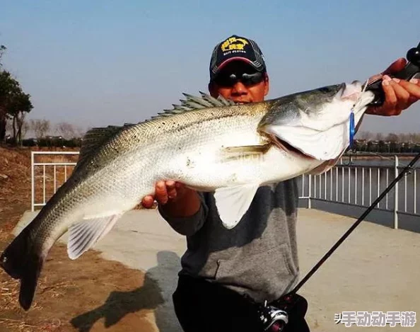 掌握创造与魔法世界中的垂钓艺术：高效钓鱼技巧全攻略，解锁水域奥秘