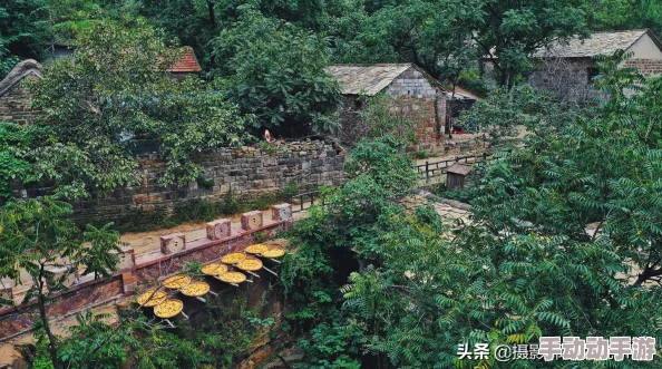 奇迹暖暖进阶挑战：解锁16-8林中秘境重逢，高分S级独家搭配策略