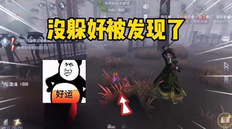 高端策略分享：第五人格佣兵翻窗绝技揭秘，为何在特定情境下放弃救援更明智？