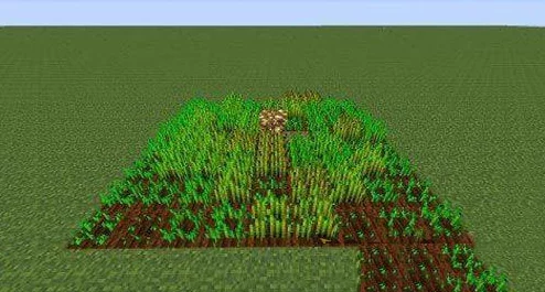 掌握高效小麦种植技巧:我的世界农场管理策略与关键注意事项全攻略 掌握高效小麦种植技巧:我的世界农场管理策略与关键注意事项全攻略