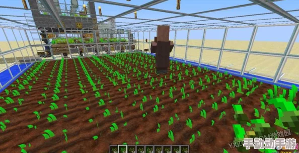 掌握高效小麦种植技巧:我的世界农场管理策略与关键注意事项全攻略 掌握高效小麦种植技巧:我的世界农场管理策略与关键注意事项全攻略