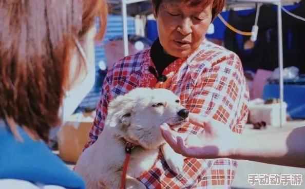 饥荒的阿姨5:网友热议游戏新机制,期待更多创新与挑战,是否能打破前作的局限性? 饥荒的阿姨5:网友热议游戏新机制,期待更多创新与挑战,是否能打破前作的局限性?