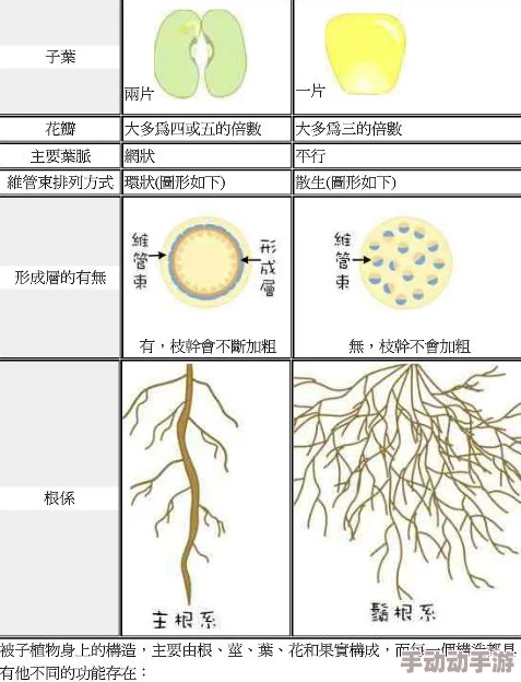 双蛇难入金银花：探讨自然界中生物相互关系对生态平衡的影响及其启示