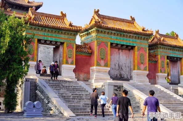 神路手游全面探索：基础玩法问答与深度知识分享指南