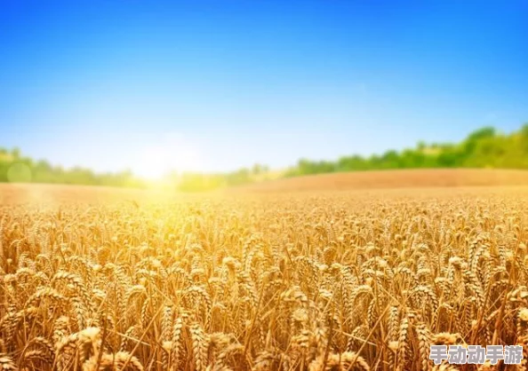 耕种妈妈肥沃的土地在哪个地方？探索农业与生态平衡的奥秘及其对人类生存的重要性