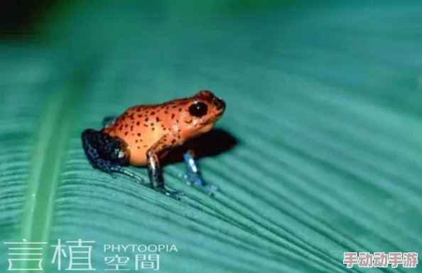 九色91POPNY 蝌蚪新疆：震惊！独特生物现身，科学家们争相研究其神秘特性！