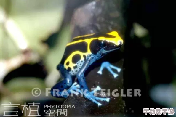 九色91POPNY 蝌蚪新疆：震惊！独特生物现身，科学家们争相研究其神秘特性！