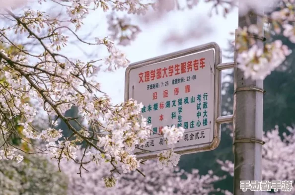 樱花jsq30q211最新进展:新功能上线,用户体验显著提升,市场反响热烈,引发广泛关注与讨论 樱花jsq30q211最新进展:新功能上线,用户体验显著提升,市场反响热烈,引发广泛关注与讨论