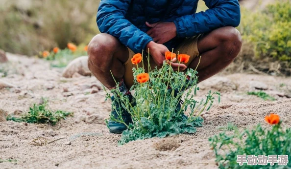 头埋在我花丛里:网友热议这一现象,认为它展现了人与自然的和谐关系与生活中的小确幸 头埋在我花丛里:网友热议这一现象,认为它展现了人与自然的和谐关系与生活中的小确幸