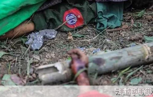 缅甸恐怖网站wwW背后隐藏深不可测的黑暗势力，揭露惊人真相震惊整个国际社会！