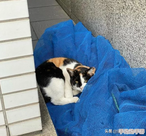震惊!被男人舔下体和吃奶都舒服了,竟然引发了一场热议与讨论! 震惊!被男人舔下体和吃奶都舒服了,竟然引发了一场热议与讨论!