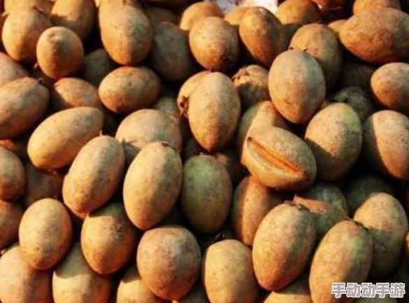 爷爷的蘑菇头好吃吗？探讨蘑菇的营养价值及其独特的烹饪方式与风味体验