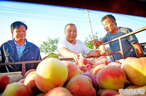 红桃38.47“引爆市场”,果品价格狂飙,消费者直呼不可思议,业内人士深度分析背后的原因! 红桃38.47“引爆市场”,果品价格狂飙,消费者直呼不可思议,业内人士深度分析背后的原因!