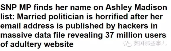 欧美精品亚洲网站惊现重大丑闻，数百名用户信息泄露引发广泛关注与恐慌！