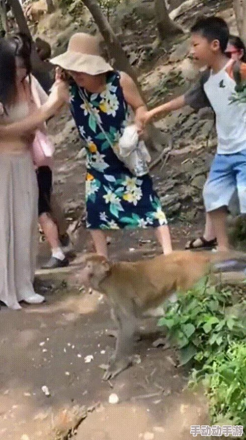 二人生猴子全程无被子免费,网友热议:这究竟是怎样的奇妙体验? 二人生猴子全程无被子免费,网友热议:这究竟是怎样的奇妙体验?