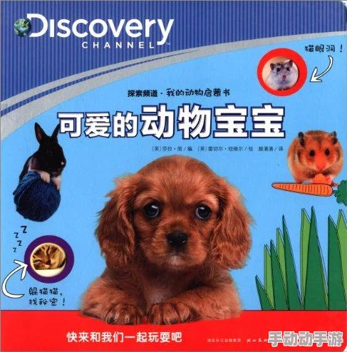 人狗畜禽company limited的多元化发展与创新探索之路