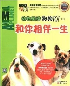 人狗畜禽company limited的多元化发展与创新探索之路