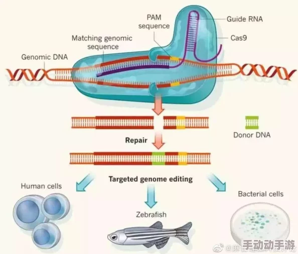 黄＊h：震惊！全球首个成功克隆人类胚胎实验引发伦理大讨论，科学界与公众意见分歧严重！