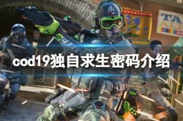 《使命召唤19》全关卡保险柜密码大全及解锁攻略指南