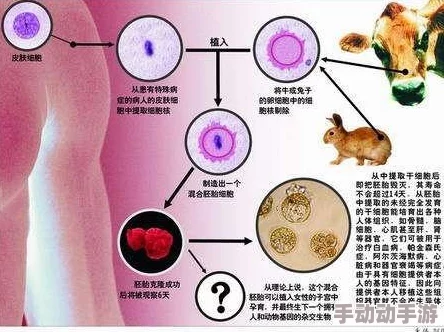 126：震惊！全球首个成功克隆人类胚胎诞生，科学界引发热议与伦理争论！