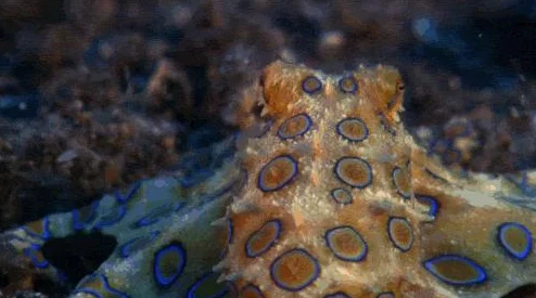 揭秘致命解药游戏存档点高效刷取衣服技巧与攻略