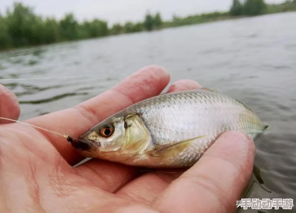绝地求生刺激战场:全面解析橙云降落伞获取攻略与技巧指南 绝地求生刺激战场:全面解析橙云降落伞获取攻略与技巧指南