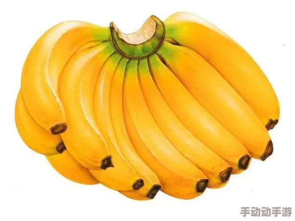 亚洲女人国产香蕉久久精品引发热议网友纷纷讨论其背后的文化意义与社会影响成为网络热门话题吸引大量关注 亚洲女人国产香蕉久久精品引发热议网友纷纷讨论其背后的文化意义与社会影响成为网络热门话题吸引大量关注