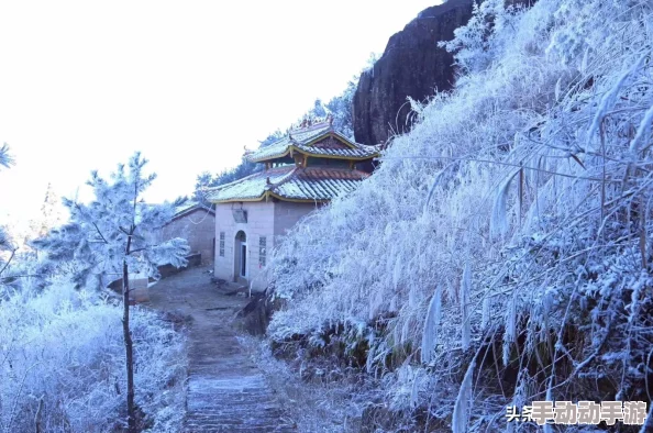 啊灬啊灬用力灬别停岳冰封之地勇敢追梦心中有光温暖前行