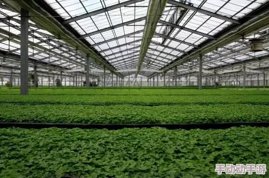 害羞草研究所据传内部设有神秘温室培育新品种害羞草 害羞草研究所据传内部设有神秘温室培育新品种害羞草