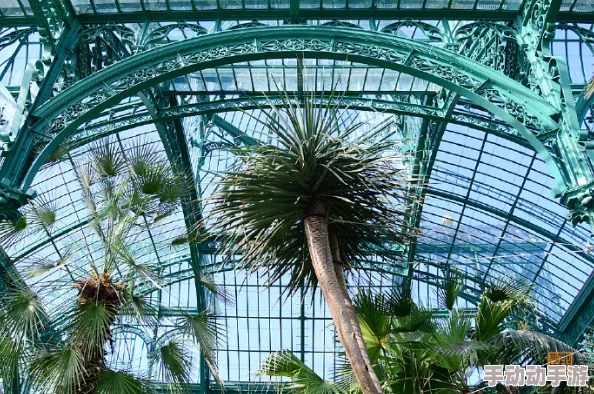 害羞草研究所据传内部设有神秘温室培育新品种害羞草 害羞草研究所据传内部设有神秘温室培育新品种害羞草