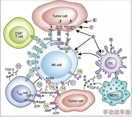 《重生细胞近战武器深度解析》 揭秘最强装备的优势与使用策略 《重生细胞近战武器深度解析》 揭秘最强装备的优势与使用策略