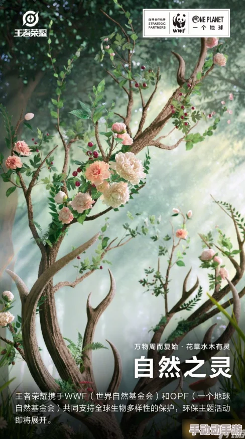 王者荣耀自然之灵新皮肤获取攻略,详细步骤与技巧分享 王者荣耀自然之灵新皮肤获取攻略,详细步骤与技巧分享