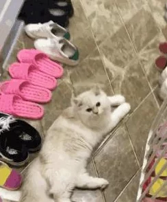 《我的世界》游戏中深度解析天堂门的制作方法与步骤 《我的世界》游戏中深度解析天堂门的制作方法与步骤