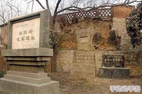 2006版传世新手攻略:最强职业深度剖析与强度排行榜 2006版传世新手攻略:最强职业深度剖析与强度排行榜