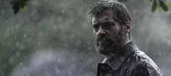 灵魂宝戒深度解析变种毒队阵容推荐与全面攻略介绍