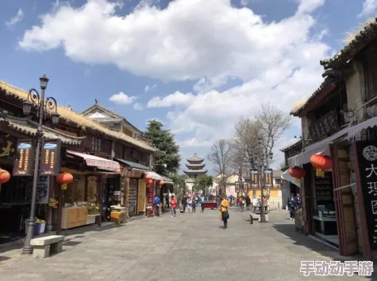 燕云十六声南门大街猫咪位置在哪？