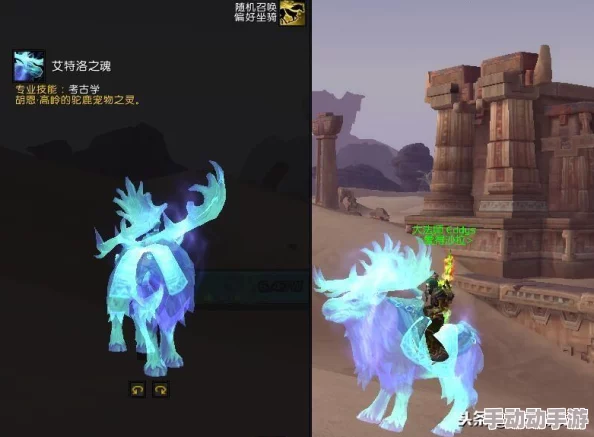 《魔兽世界》钓鱼任务能带来哪些意想不到的收获？