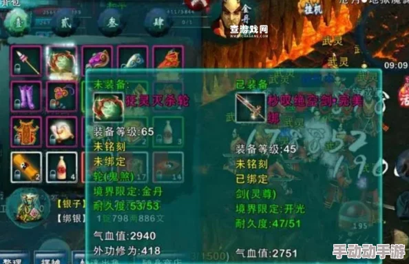 忘仙中仙婴石获取有哪些技巧？