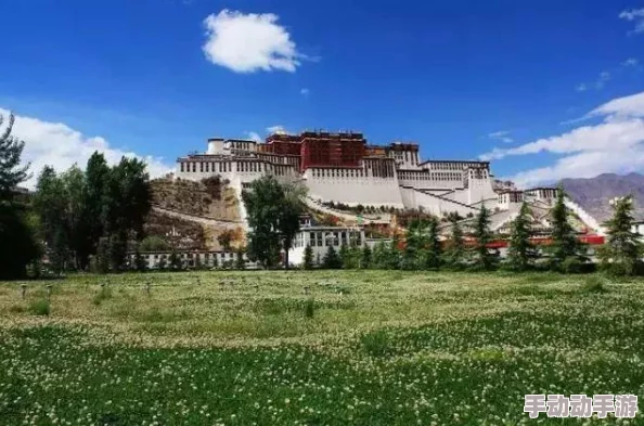 天国拯救2:初探新手村,草药采集地点全揭秘,哪里能找到我的治疗圣品? 天国拯救2:初探新手村,草药采集地点全揭秘,哪里能找到我的治疗圣品?