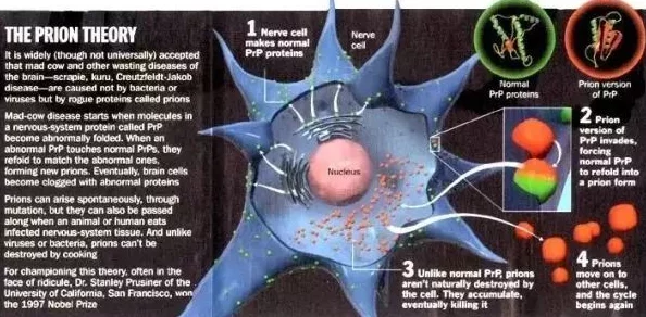 如何玩转《生物原型》分裂扩散流？