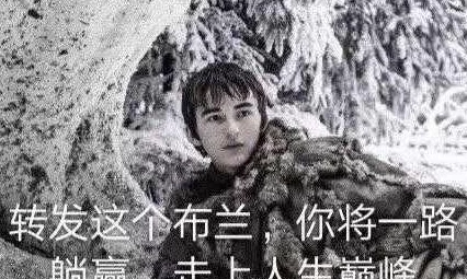纯辅助如何在《快来当领主》里蹭到车,躺赢当领主? 纯辅助如何在《快来当领主》里蹭到车,躺赢当领主?