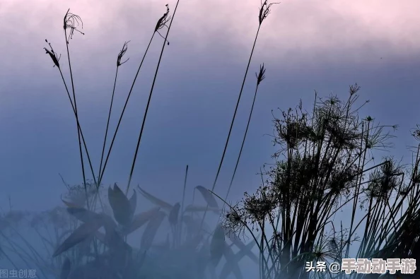 《黎明飞驰》遭遇燃油耗尽,应急策略大揭秘 《黎明飞驰》遭遇燃油耗尽,应急策略大揭秘