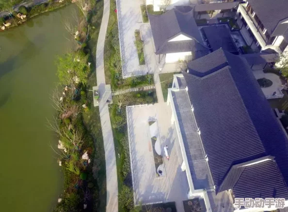 《心动小镇》鸟站架:如何吸引鸟儿光临并详细观察它们? 《心动小镇》鸟站架:如何吸引鸟儿光临并详细观察它们?