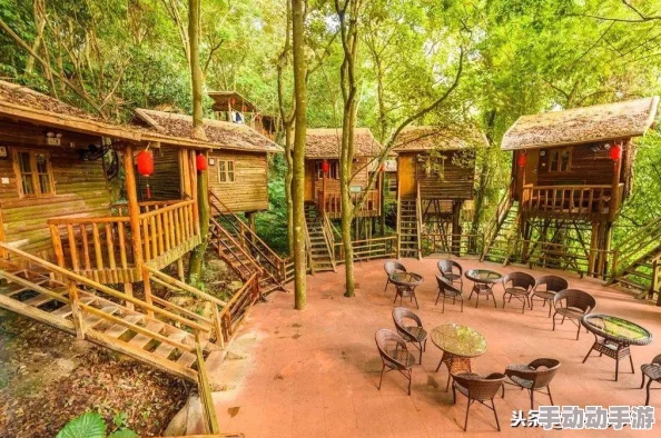 《心动小镇》鸟站架:如何吸引鸟儿光临并详细观察它们? 《心动小镇》鸟站架:如何吸引鸟儿光临并详细观察它们?