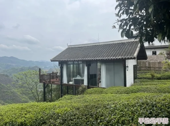 《白荆回廊》中，探索玄戈茶憩的独特配方全揭秘