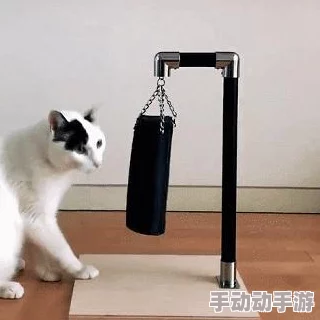 光遇魔法商店兑换物品需要什么材料_魔法商店物品价格一览 光遇魔法商店兑换物品需要什么材料_魔法商店物品价格一览